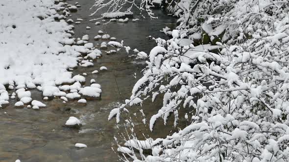 Snowy River in Winter Forest II alt