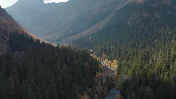 Aerial View From Above Canyon with Flowing Mountain River at Beautiful Valley Landscape