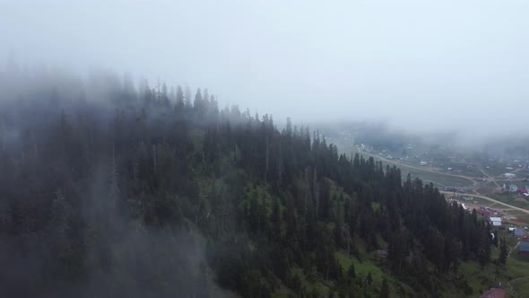 Cloud and forest aerial view