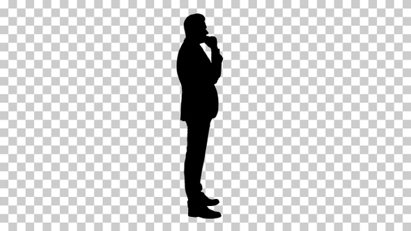Silhouette businessman, Alpha Channel alt