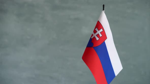State Flag of Republic of Slovakia Waving on Gray Background