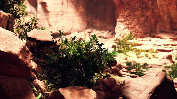 Cave in an Extinct Volcano on the Island