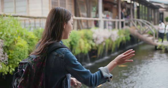 Woman feed koi fish in the garden