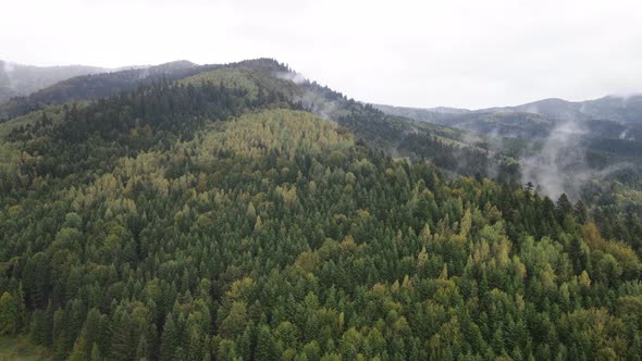 Nature of Ukraine: Carpathian Mountains Slow Motion. Aerial View