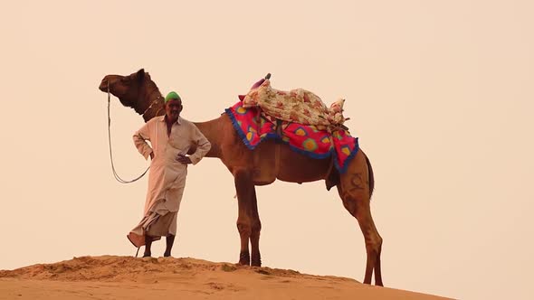 Cameleers, Camel Drivers at Sunset