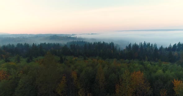 Lush Forest Aerial Flyover Low Layers Of Foggy Clouds In Snoqualmie Valley Washington Usa