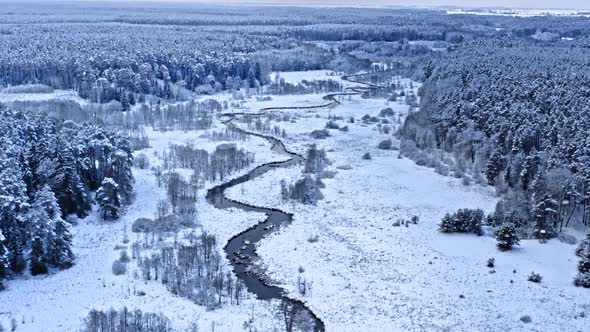 River and snowy forest in winter. Aerial view of Poland.