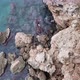 Antalya's cliffs in Mediterranean Konyaalti Sea - VideoHive Item for Sale