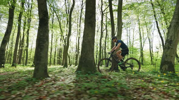 A Cyclist on an MTB Bike is Riding Through the Forest at High Speed