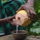 Pouring Coconut Water - VideoHive Item for Sale