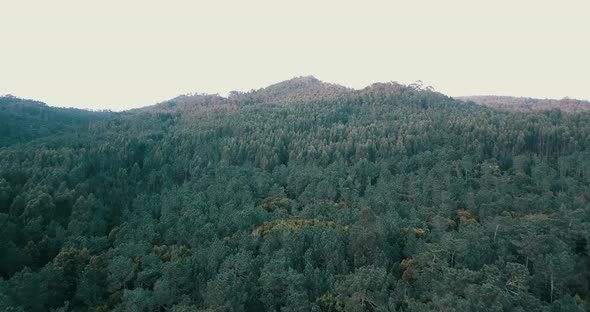 aerial view of Sintra mountains Barragem da Mula Dam lake reservation, in Portugal