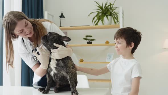 Funny Dog at the Veterinary Getting Medication