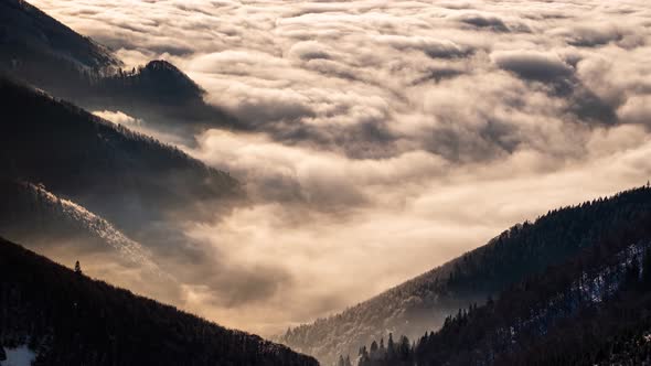 Misty Forest Mountains