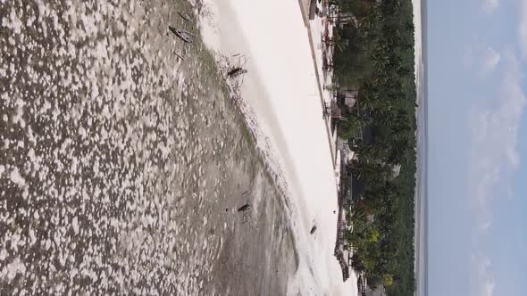 Zanzibar Tanzania  Vertical Video of Low Tide in the Ocean Near the Coast Slow Motion