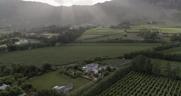 Epic 4K Push Inn Aerial Shot of Wine Vineyards That Tilts onto Beautiful House In Franschhoek Wester