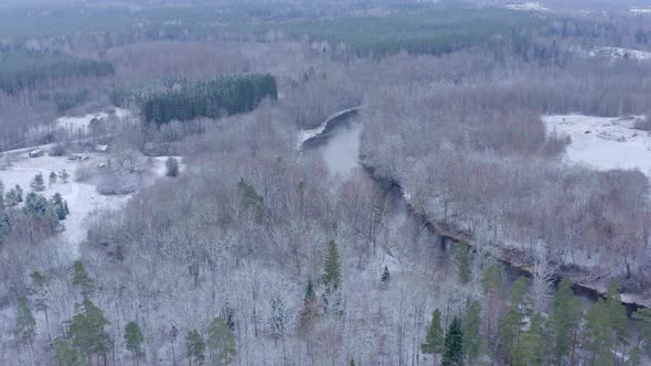 Aerial View of Forest and River