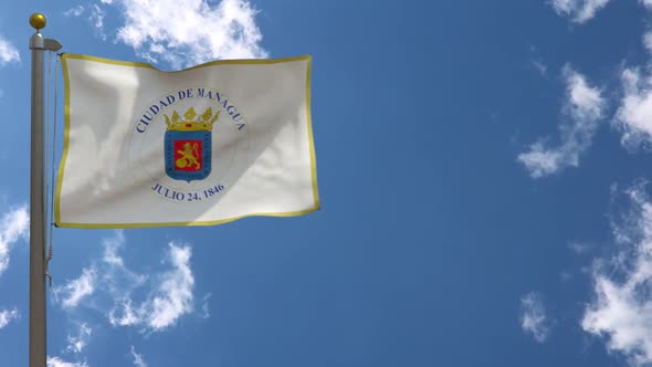 Managua City Flag (Nicaragua) On Flagpole