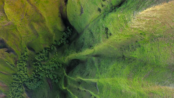 Unusual Looking Tropical Vegetation Covering Rocky Walls of the Cavity. Aerial Shot