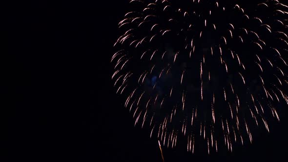Colorful Firework display at night on sky background
