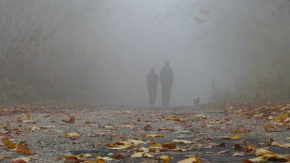 Family Walk In The Park During Autumn Misty Day 4