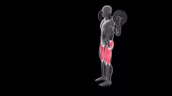 Front View Of  Alternate Front Lunges With Barbell