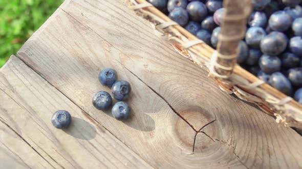 Blueberrie Fall on a Wooden Table