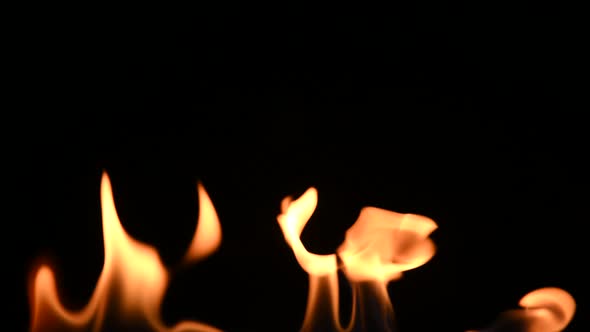 Close up fire flames isolated on black background