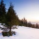 Beautiful Winter Landscape in the Mountains - VideoHive Item for Sale