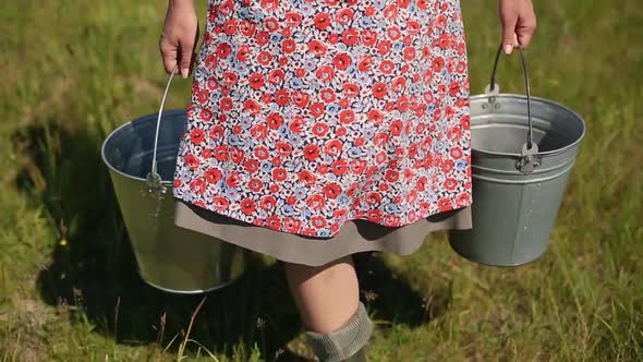 Closeup of a Milkmaid Carrying Buckets and Walking Through Tall Grass