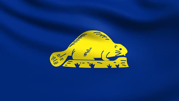 Oregon Flag 4K