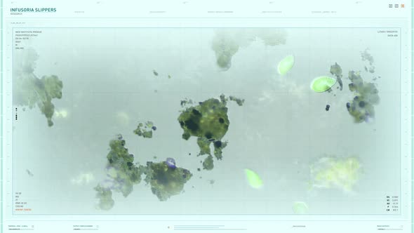 Investigating the movement of infusoria slippers organism at a modern laboratory