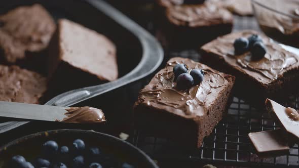 Composition of Fresh Homemade Chocolate Brownie Squares Melting Chocolate and Fresh Blueberries