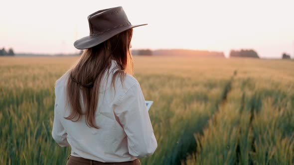 A Woman Farmer with a Tablet Works in a Wheat Field, She Monitors the Growth of a Healthy Crop