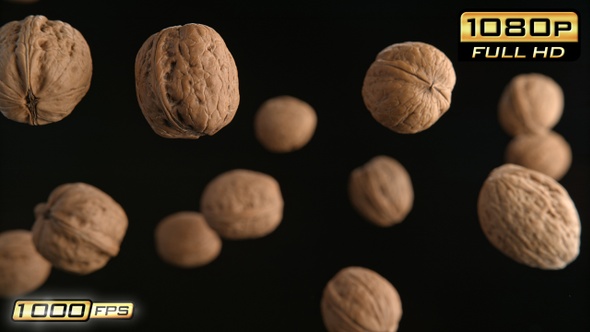 Flying Walnuts in Shells