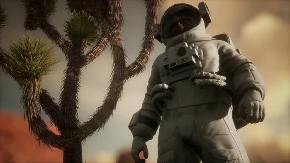 Astronauth in the High Desert of Nevada alt