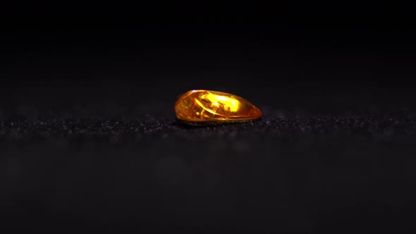 Baltic Amber With Insects Macro Rotating