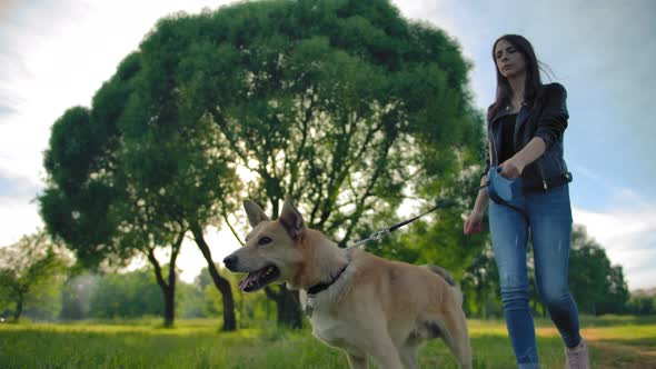 Caucasian Girl in Jeans Leads Her Dog for a Walk in Park. Profile Shooting in Slow Motion.