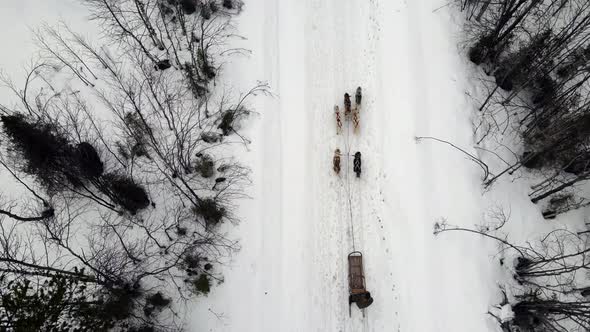 Drone Aerial View of Dogsledding Handler with Team of Trained Husky Dogs Mountain Pass Husky Dog