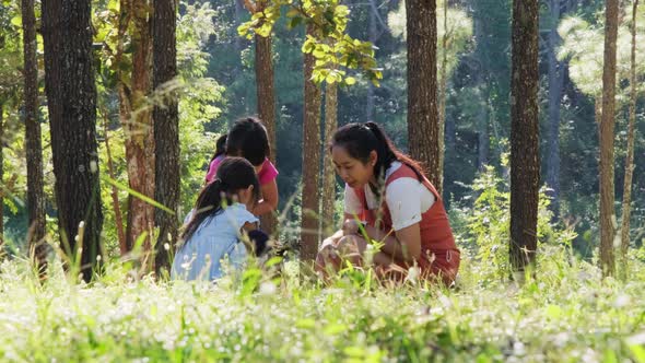 Mother and two daughters collecting firewood and kindling bonfire at camping place in forest.