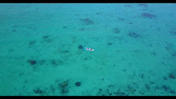 Aerial drone abstract of perfect resort beach wildlife by blue ocean and white sand background of ad