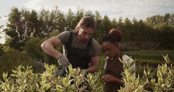 Diverse Gardeners Cutting Bush Branches