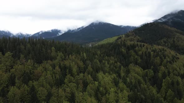 Ukraine, Carpathian Mountains: Beautiful Mountain Forest Landscape. Aerial