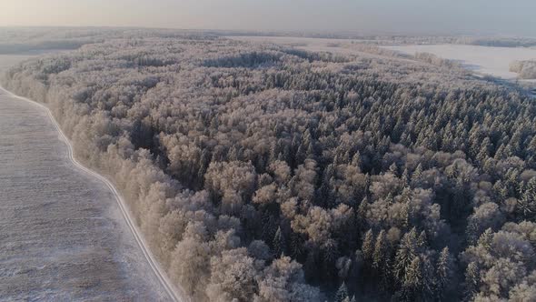 Winter Landscape in Countryside