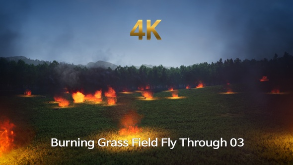 Burning Grass Field Fly Through 4K 03