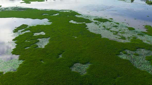 The Wetlands of Sri Lanka