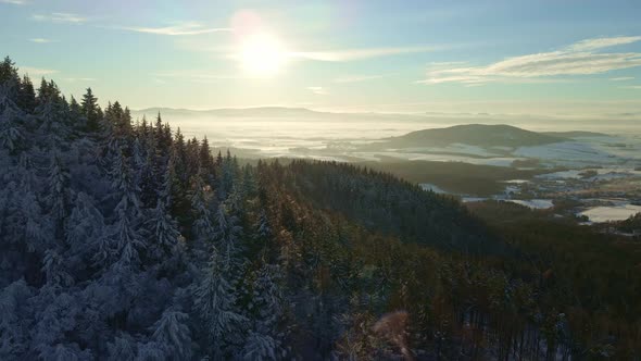 Nature Landscape with Mountauns and Snowy Forest