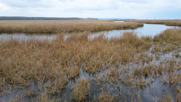 lake and reeds in autumn, Igneada, Turkey