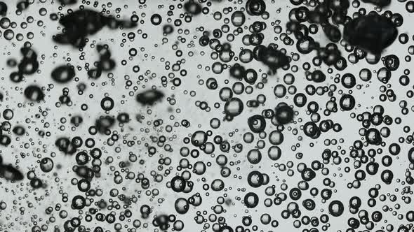 A Vortex of Oxygen Bubbles Created By a Jet of Water