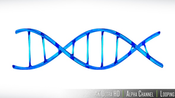 4K DNA Double Helix Strand Loop