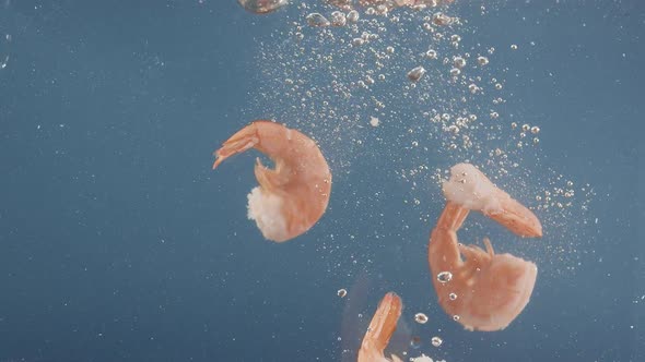 Tasty Shrimps Fall in a Water on Blue Background